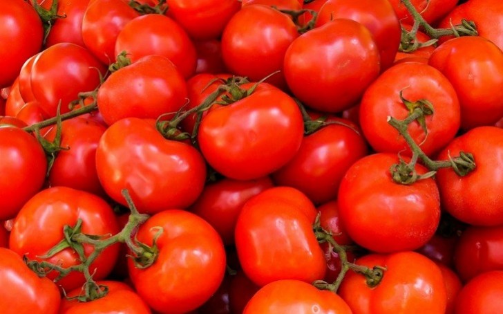 Ukrayna Azərbaycandan pomidor idxalına başlaya bilər
