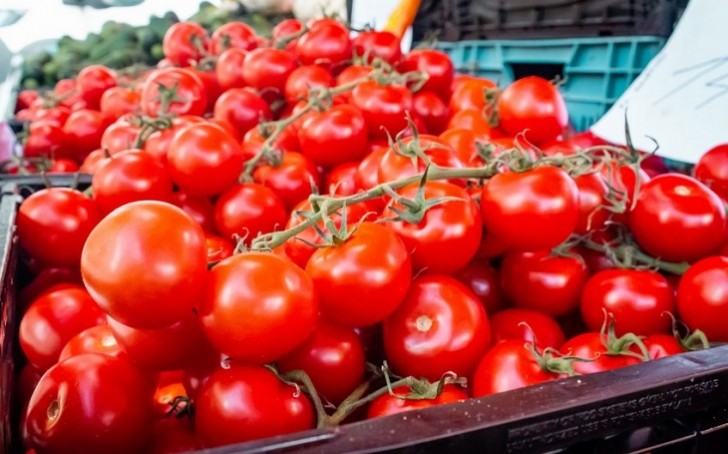 Ölkədə pomidorun qiyməti niyə kəskin bahalaşıb?