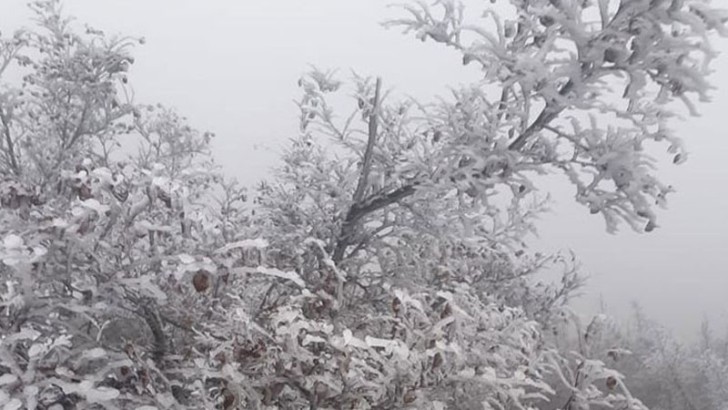 Hava şəraiti dəyişəcək, külək əsəcək, qar yağacaq