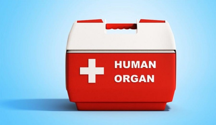 Azərbaycanda donor bankı yaradılıb, transplantasiya həyata keçirəcək mütəxəssislər hazırlanır