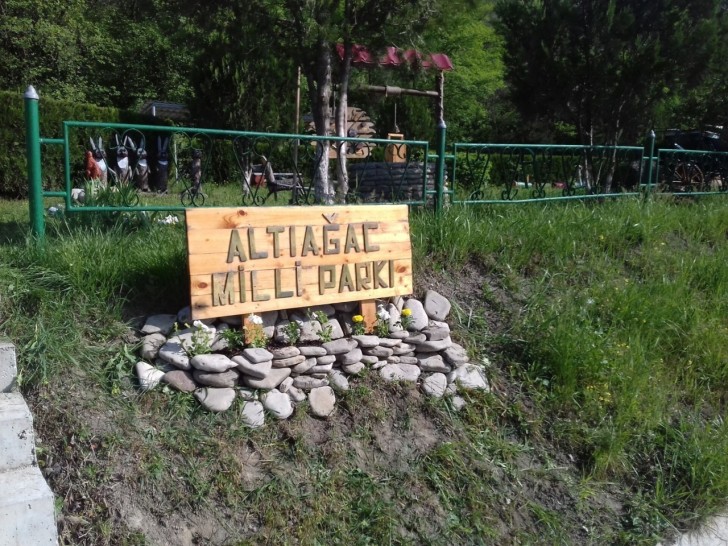 31 avqust -  Altıağac Milli Parkının yaranması günüdür