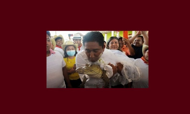 Meksikda şəhər meri timsahla evləndi