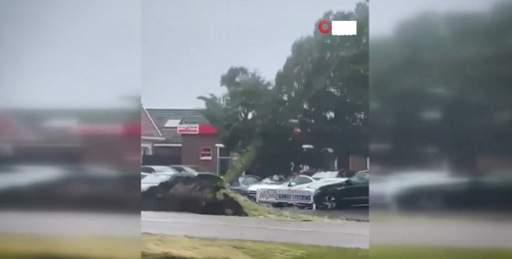 Hollandiyada fırtına ağacları kökündən çıxardı: