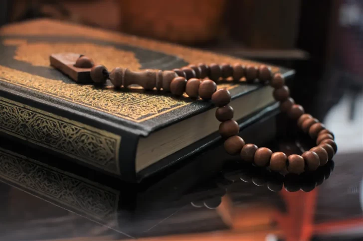 Danimarka hakimiyyəti paytaxtdakı aksiya fonunda Quranın yandırılmasını pisləyib