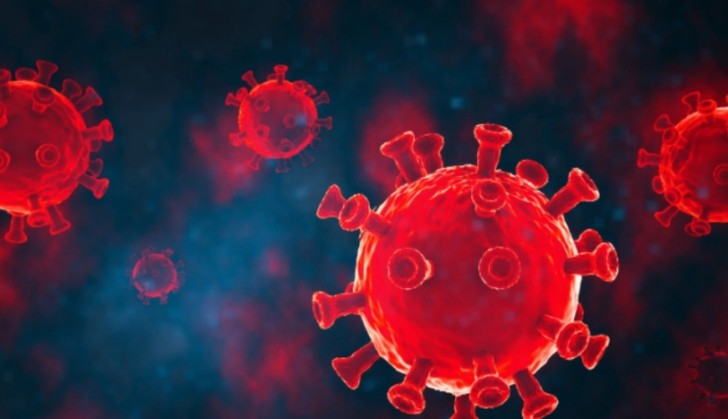 Koronavirusun yeni ştamı ilə bağlı qorxunc faktlar