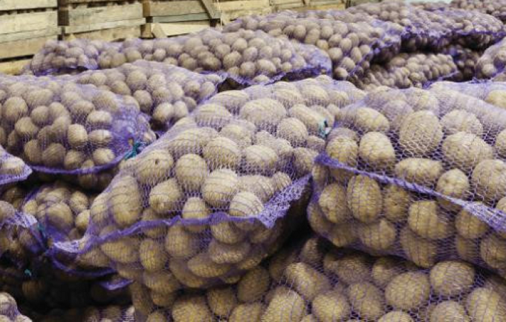 Belarusdan Azərbaycana gətirilən 41 tondan artıq kartof məhv ediləcək