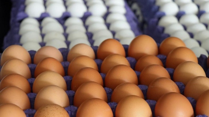 Yumurta istehsalçıları bəyanat verdilər: