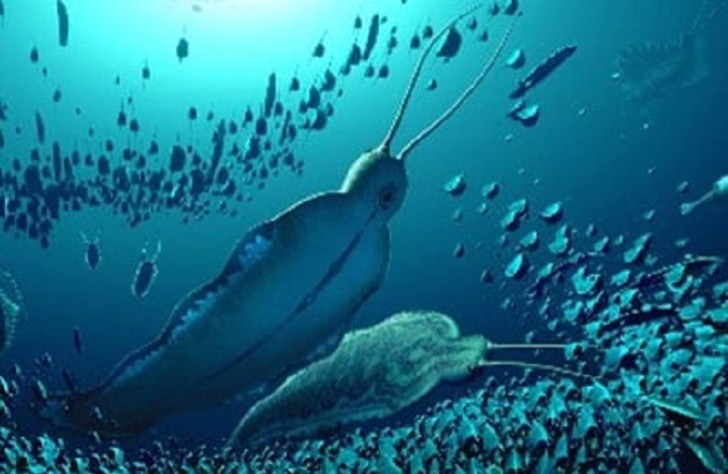 500 milyon il əvvəl yaşayan nəhəng çənəli dəniz qurdunun qalıqları aşkar edilib