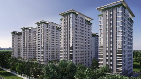 "Avant Group" ağacları kəsib, 100 min ziyan vurub -