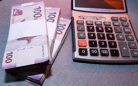Azərbaycanda milyonlarla borcu olan şirkətlər bağlandı
