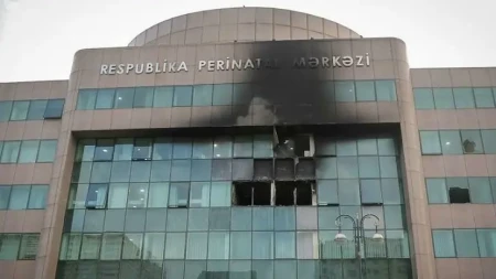 Yeddi körpənin ölüm işi:
