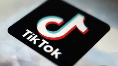TikTok ilin ikinci rübündə 189 milyondan çox videonu silib