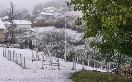 Dekabrın 16-na olan hava proqnozu açıqlanıb