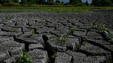 İqlimdə kritik dönəm: 2023-2025-ci illər 1,5 dərəcə həddini aşacaq