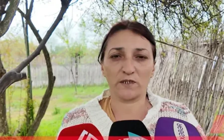 Deyir, qonşu təcavüz edib -