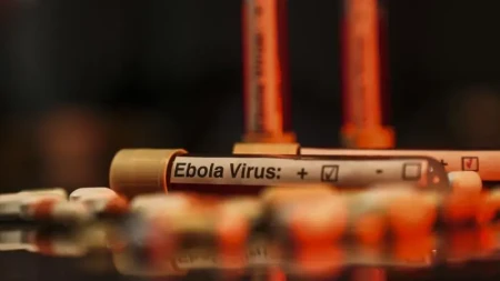 Ebola mübarizəsinə Qərbdən büdcə zərbəsi: Epidemiya qlobal riskə çevrilə bilər