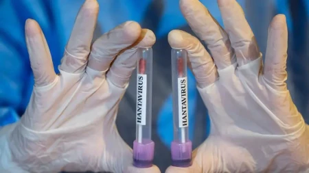 Avstraliya hantavirus aşkarlanan gəmidəki vətəndaşlarının sağlam olduğunu açıqladı