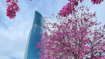 İyunun ilk gününə gözlənilən hava şəraiti açıqlanıb