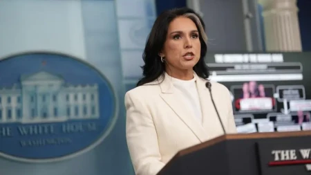 Tulsi Qabbard istefasını Trampa təqdim etdi