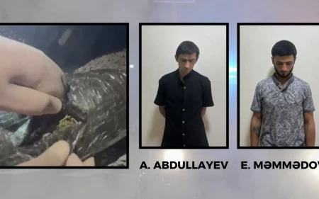Göyçayda 3 kiloqramdan artıq narkotik vasitə aşkarlandı