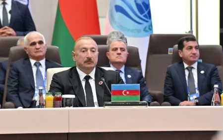 Prezident “ŞƏT plyus” formatında görüşdə çıxış etdi: